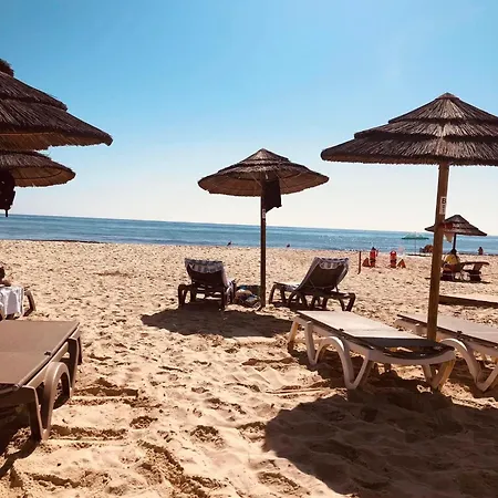 Dorothys Place 3, Only Tavira